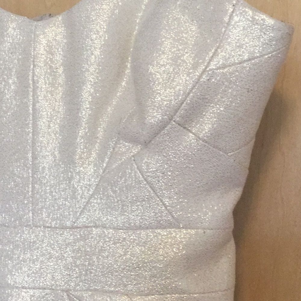 Zac Posen Strapless Dress - Picture 6 of 14